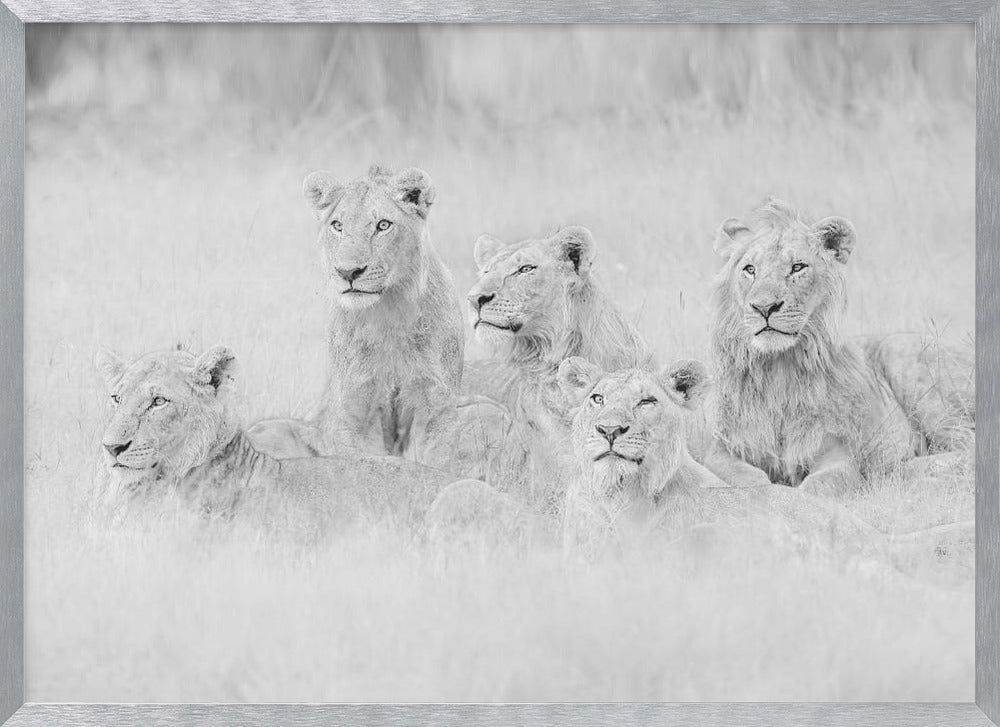 Brothers in A Little Rain Poster